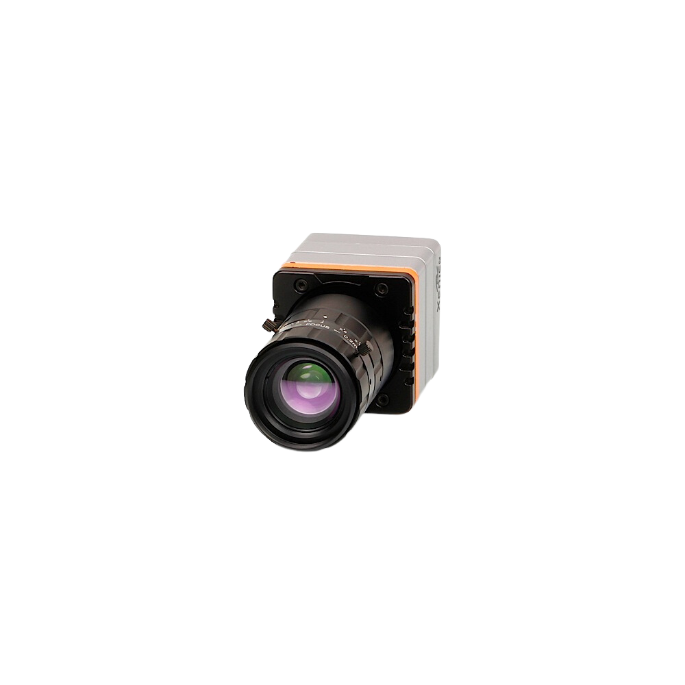 Lynx-CL002_BG Removed.png